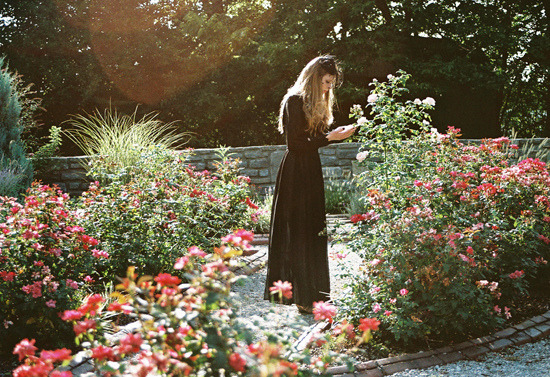 searchthewolves:  secret garden by the girl who tamed the tiger on Flickr. 