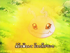 aniparadise:  Digimon Adventure Opening 