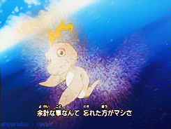 aniparadise:  Digimon Adventure Opening 