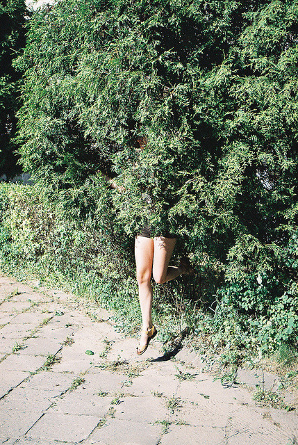 echte:  . by neon.tambourine on Flickr. 