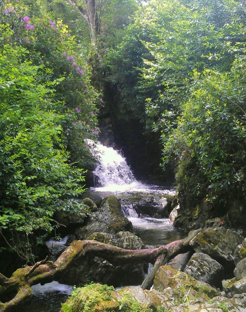 Magical waterfall in Tollymore Forest Park. Visited why staying in Samphreda holiday cottage in clou