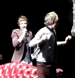  Niall Horan is my spirit animal (c) 