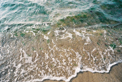 violetvinyls:  or sit on the beach at the very edge of the water and just sit there forever