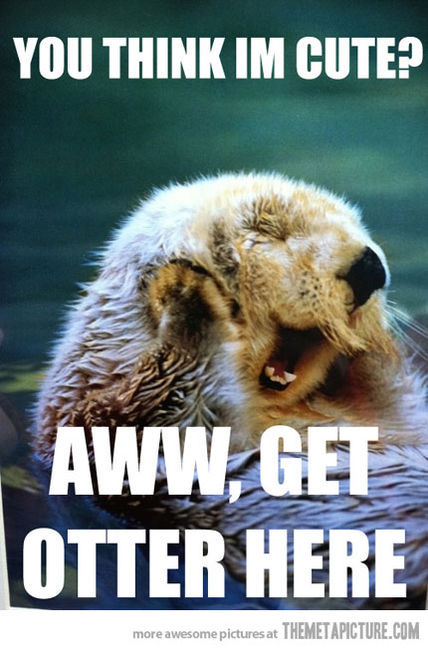 thefunniestpost:  Hysterical Blog! 