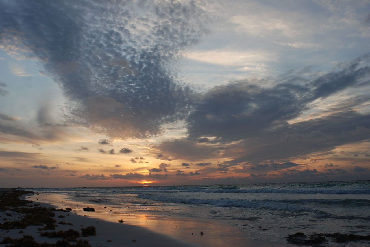 zoadtrips:  Tulum Comme dit la maman de Mini, si le paradis a été sur terre à