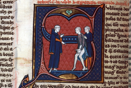 show your dickAvicenna (transl. Gerardus Cremonensis), Canon Medicinae, Paris 13th century.Besançon,