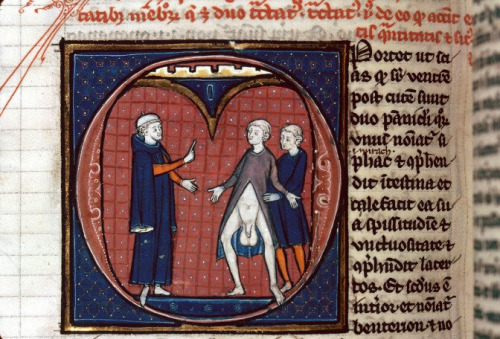 show your dickAvicenna (transl. Gerardus Cremonensis), Canon Medicinae, Paris 13th century.Besançon,