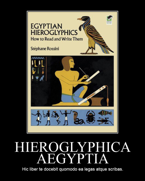 HIEROGLYPHICA AEGYPTIAHic liber te docebit quomodo ea legas atque scribas.Egyptian HieroglyphsThis b