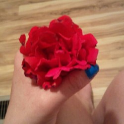 Look at the pretty flower I picked myself (Taken with Instagram)