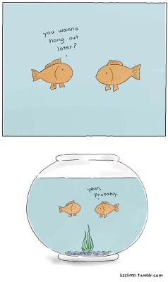 lizclimo:  Fishbowl  