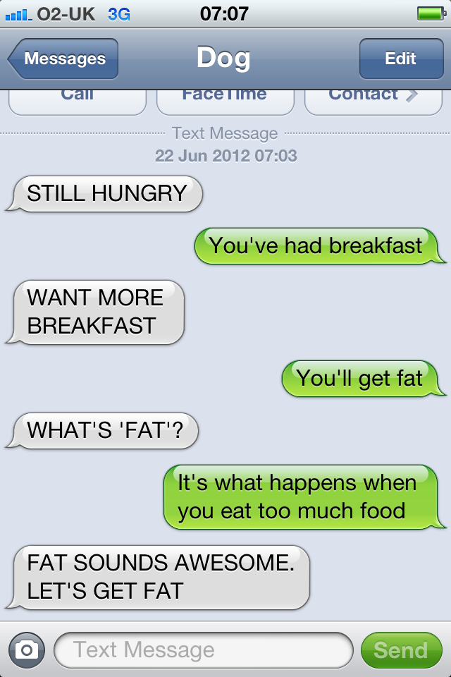 thefuuuucomics:  Text from dog