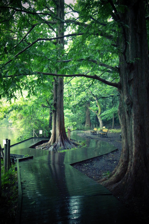 v-ibration-s:  I love this picture 