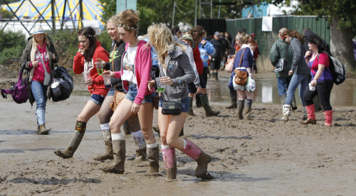 Ah, the British music festival: quagmire of warm lager, ageing rock stars, portaloos and wellies. There’s no Glastonbury this summer (the Worthy Farm cows are given a break every few years) but more than 50,000 have descended on the Isle of Wight...