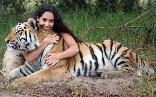 Female tiger wrangler Or Lazmi cuddles 33-stone male Siberian tiger Shosho, at Seaview Lion Park, South Africa. Or, 25, originally from Israel, now manages the park. She has raised Shosho and another tiger since park staff took them from their mother...