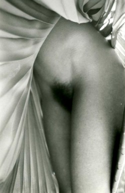 Frenchtwist: Pleated (Women Under The Skirt Series) By Nazak, C. 1985Also