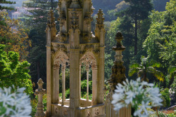 sav3mys0ul:  Quinta Regaleira,Sintra,Portugal 2 (by F2eliminator Travel Photography) 