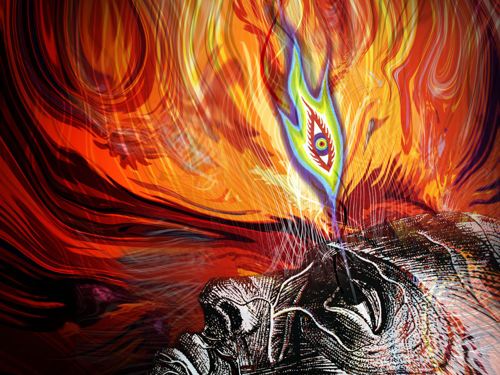 shaneshearer:  tool : fibonacci : lateralus 