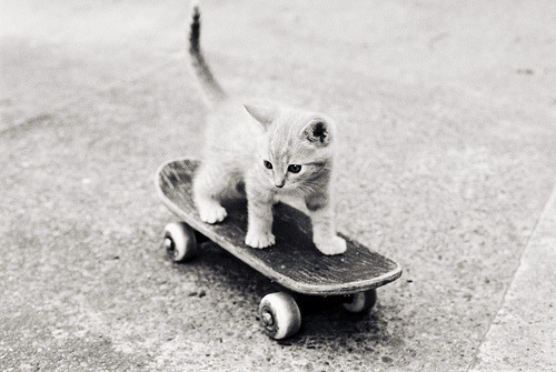 No color, No life.