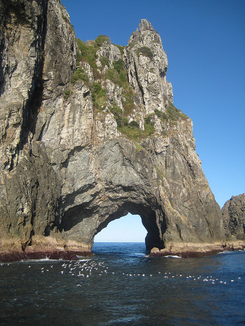 The Hole in the Rock on the Bay of Islands, New Zealand (by Jìmßõ1).