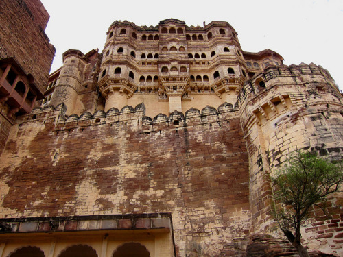 jodpur by etedgs on Flickr.Jodhpur, India