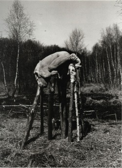 anachoretique:  Ich will mich nicht über die Bäume erheben (I don’t want to elevate myself above the trees), Dieter Appelt, 1977 