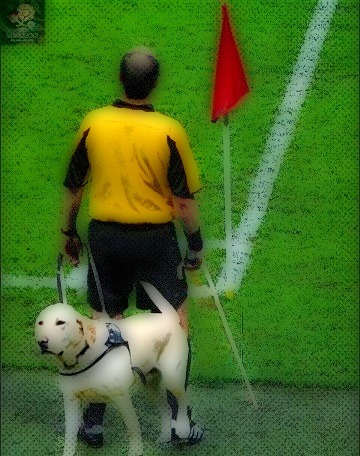 Euro 2012 referee. adult photos