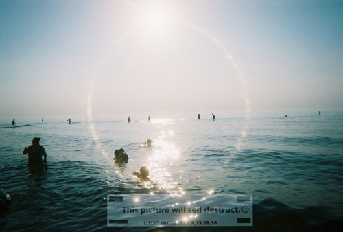 gildings:  untitled by laineylamonto on Flickr. 