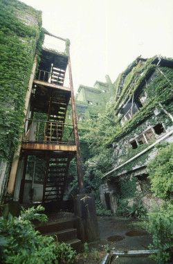 abandonedporn:  Have you ever been desperate to go somewhere after seeing an image?  ohmygod, this place! I wish all man-made places could be like this. 