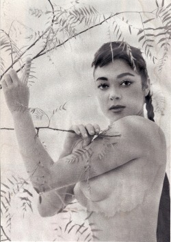 Cheryl Kubert, Playboy - January 1959