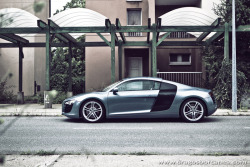 automotivated:  R8 (5) (by Dragos Borcanea)