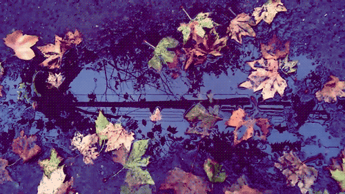 thehassasin:  hojitas hijitas… 