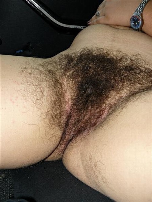 http://hairymex.tumblr.com/post/25718872720
