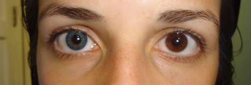 fak3book:  The brown is my natural eye color, the blue is the colored contacts.