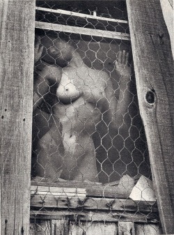 Wynn Bullock (photographer), Nugget - June 1957