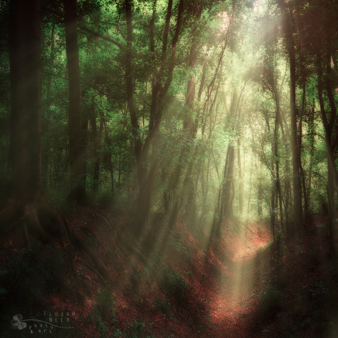 mykindafairytalee:  heaven comes… by *ildiko-neer 