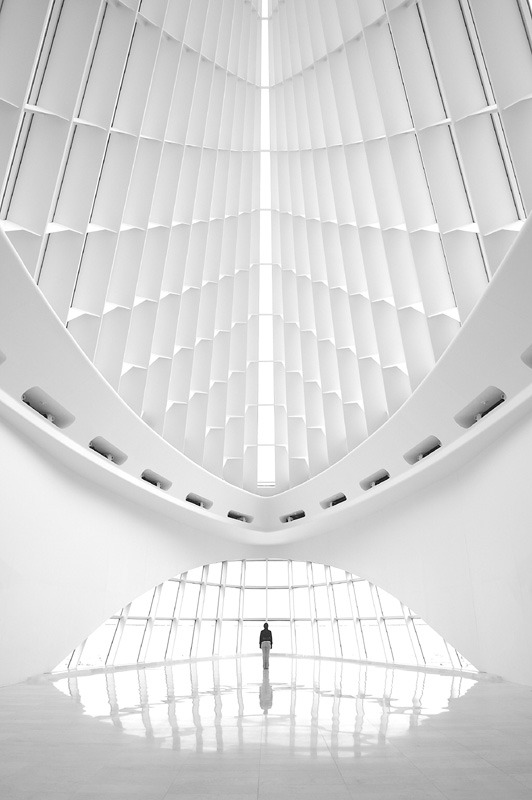 fiore-rosso:  santiago calatrava | the  fine arts museum [milwaukee. wisconsin].