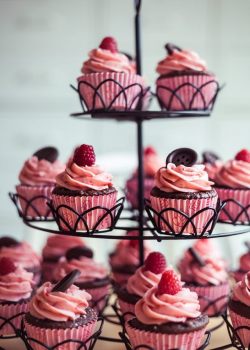 gastrogirl:  chocolate cupcakes with raspberry
