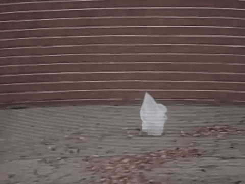 American Beauty (1999) “That bag was just dancing with me, like a little kid begging