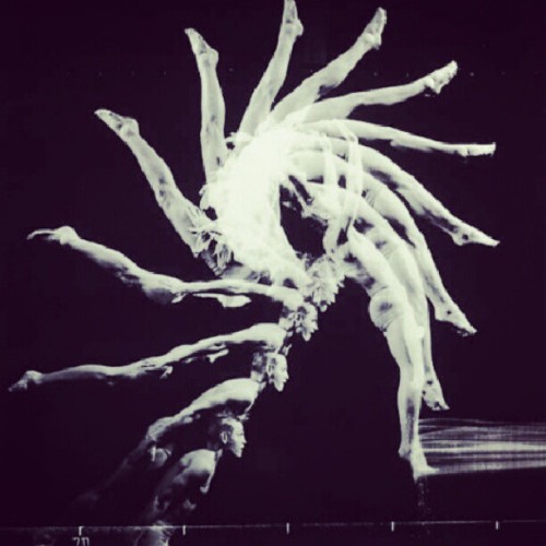 Day 23- movement #photoaday #photoadayjune #dance #flip (Taken with Instagram)