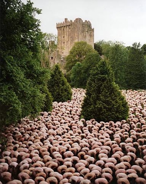 ruineshumaines:Spencer Tunick
