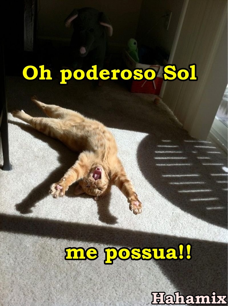 Animes, mangas, humor, nature!!