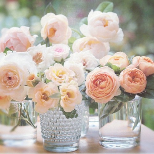 Simple flower bouquets in different vases and glasses! (Taken with Instagram)