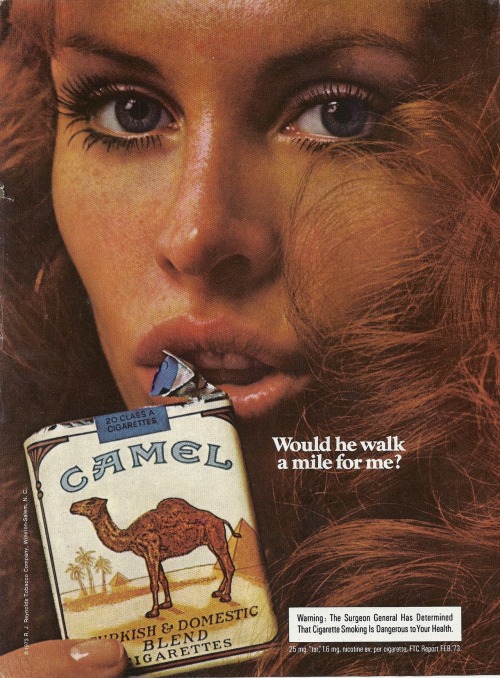 Camel, Vintage Ad, Penthouse - November 1973 porn pictures