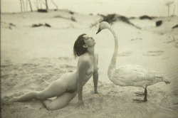 maudelynn:  Leda and the Swan, by Marcel