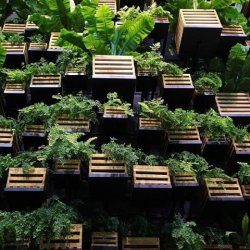 androphilia:  Vertical Box Garden 