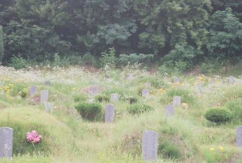 leeyunho: graveyard, 2009