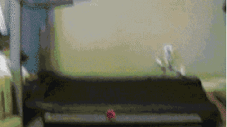 the-absolute-funniest-posts:  Follow this blog, you will love it on your dashboard