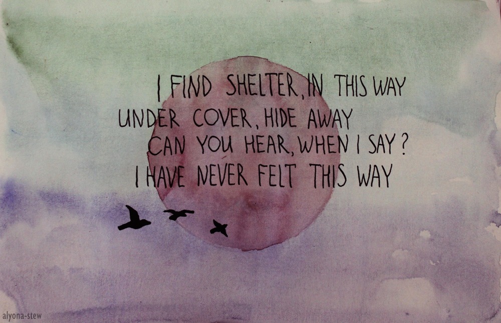 alyona-stew:  Shelter 