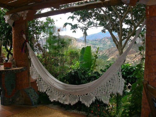 moroccan-elephants:  tropic-fiji:  X   Q’d - have a good day!   ❁❁ Calm and relaxing jungle blog ❁❁
