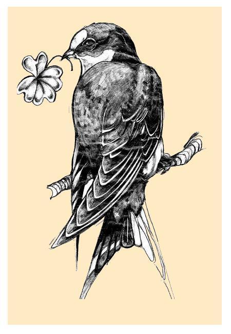 deviantbirds:  40. by ~wigur 